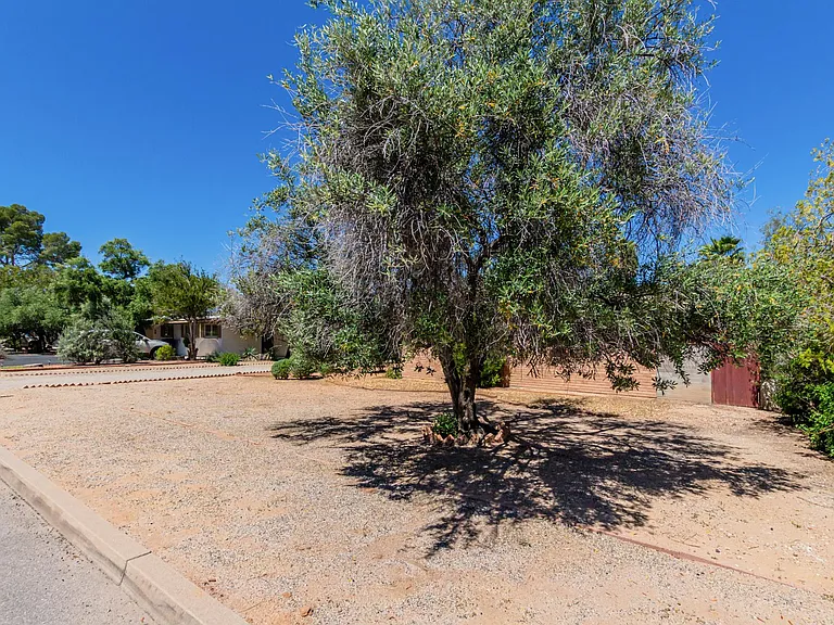 5255 E Baker St — Photo 6