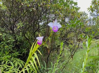 Ooaa Road Rd #6-LOT 4126, Mountain View, HI 96771