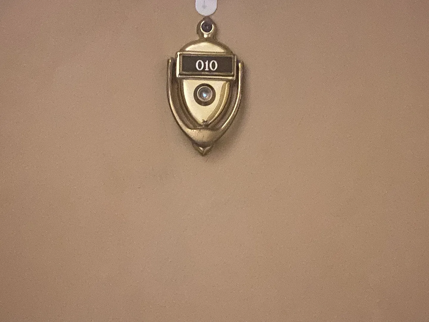 2 bed, 1100 sqft, $1,450 — Photo 4