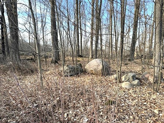 3rd image of LOT 2 Thorn Apple Dr