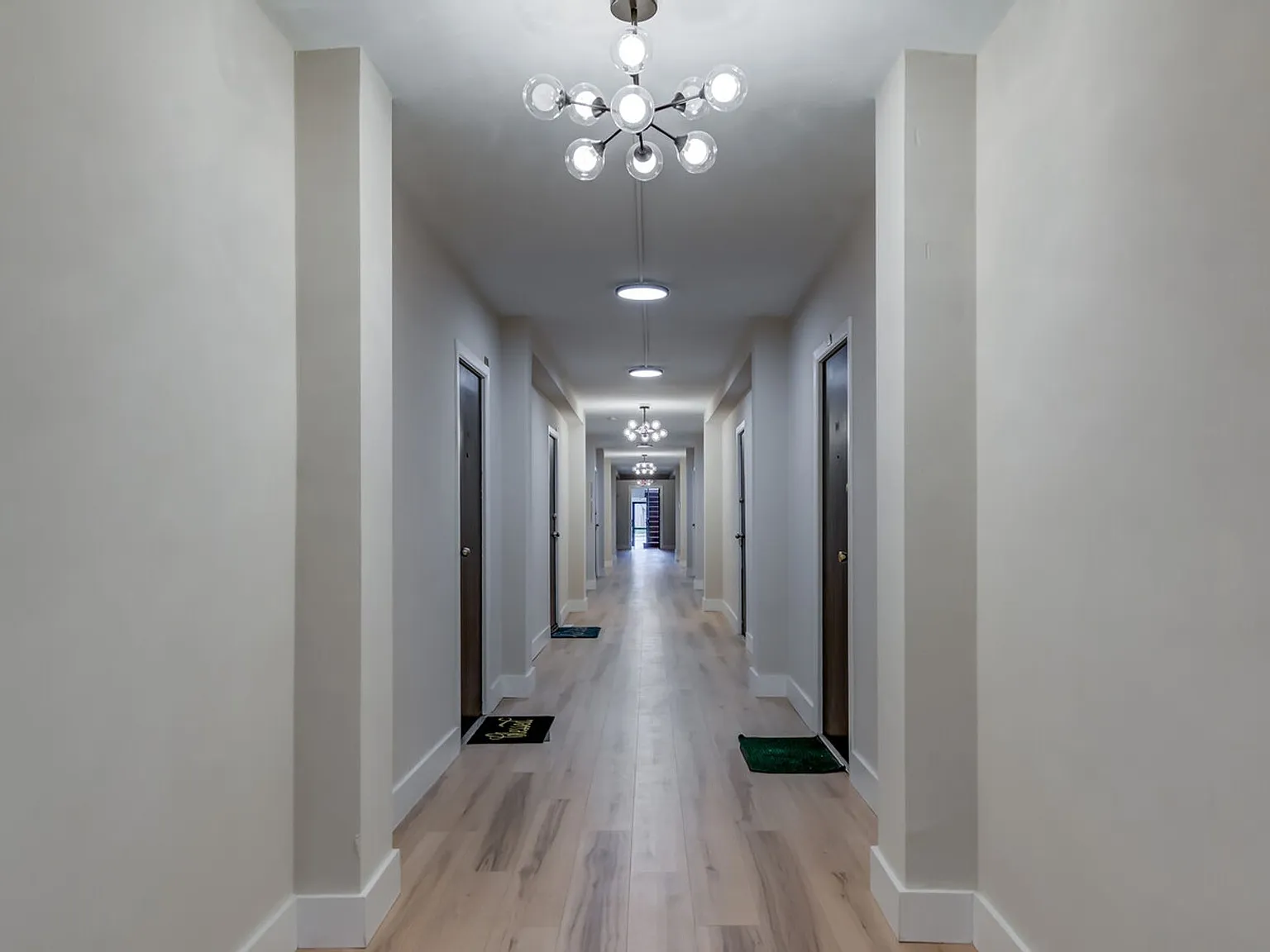 Renovated Studios, 1, & 2 bed apartments! — Photo 4