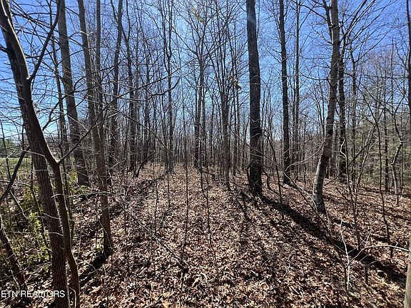 2nd image of LOT 590 Stone Haven Trl