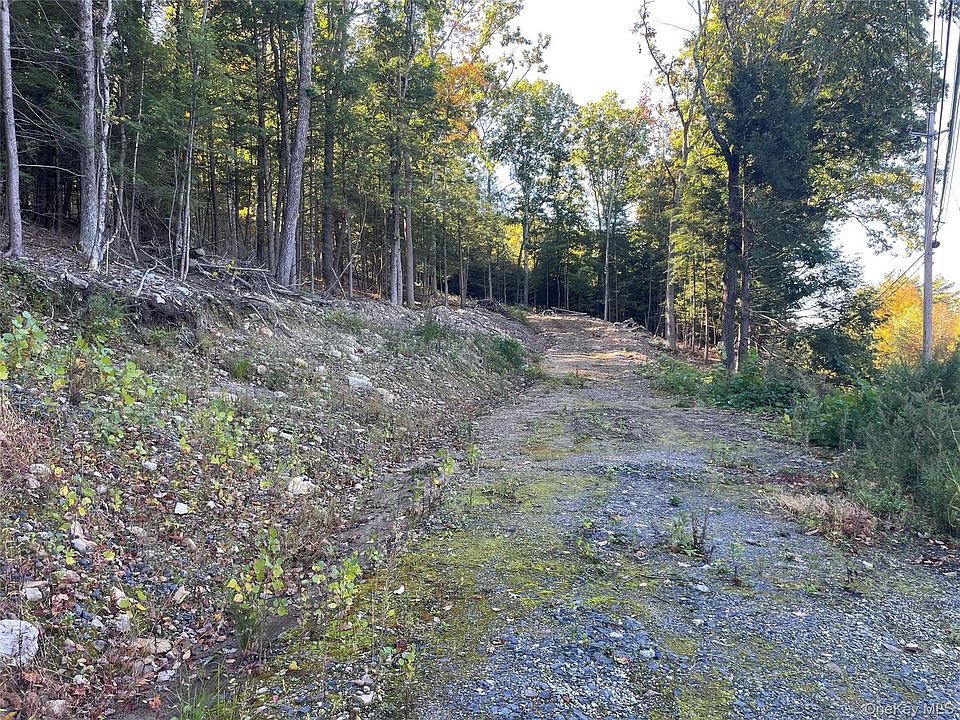 1st image of Mamakating Road