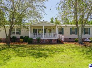 1408 Timmons Rd, Timmonsville, SC 29161