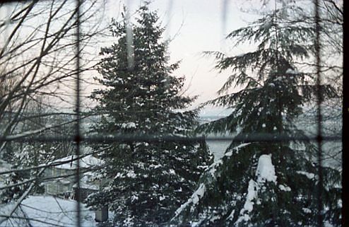 East View Living Room