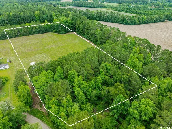 6.5 Acres Christine Pl. Pleasant Hill Community, Hemingway, SC 29554