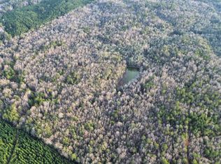 0 Southern Pine Rd, Dixons Mills, AL 36736