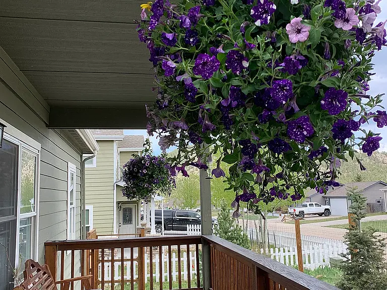 1655 Gray Hawk Ct — Photo 2