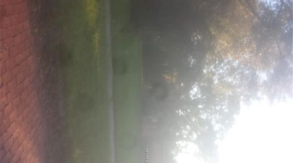 2nd image of 3026 20th Ave S
