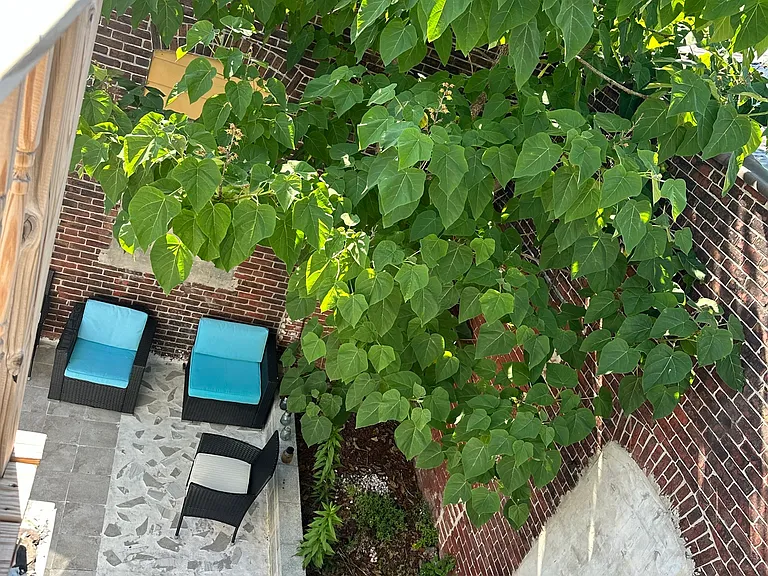 3428 Reach St — Photo 27