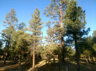2535 Katies Way, Happy Jack, AZ 86024
