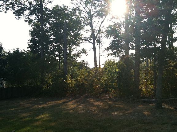 Back half of yard natural landscape