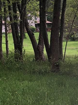 2nd image of 78 Knight Rd