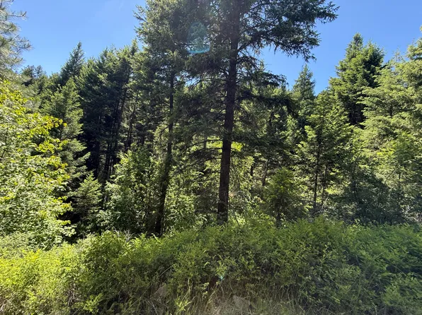 Tbd Toroda Creek Rd, Wauconda, WA 98859