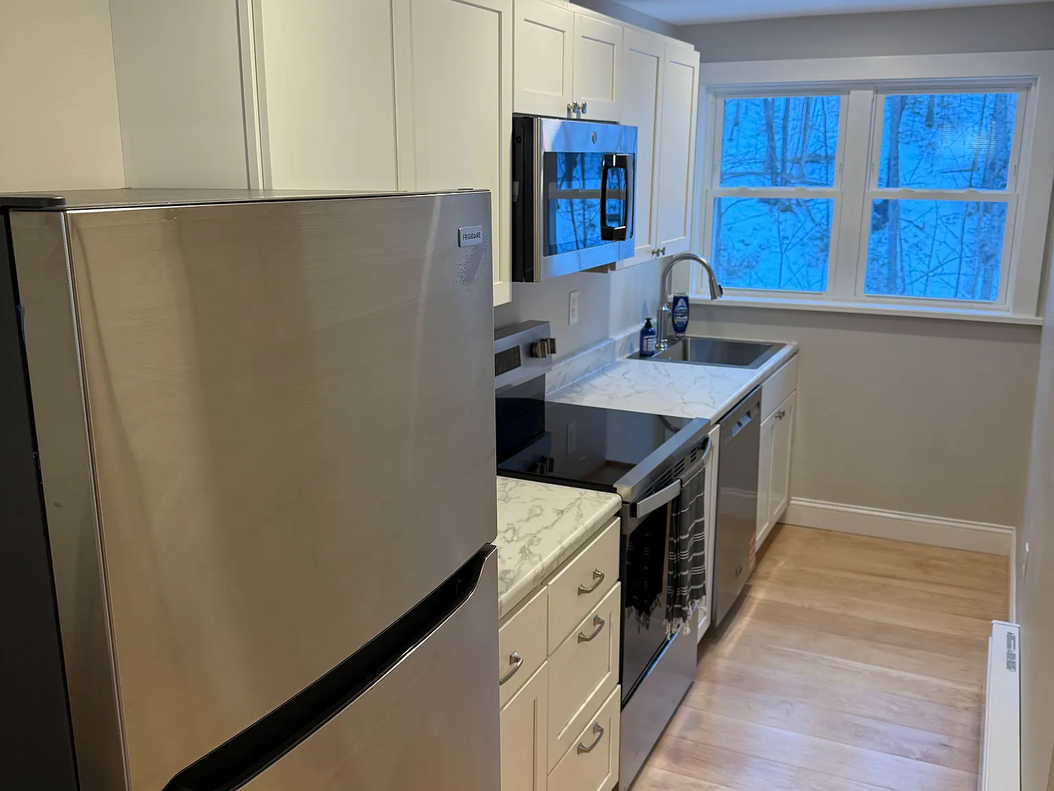 1 bed, 750 sqft, $1,250 — Photo 1