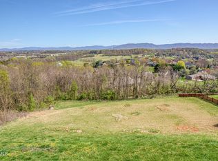 125 Simmons Rdg, Johnson City, TN 37604