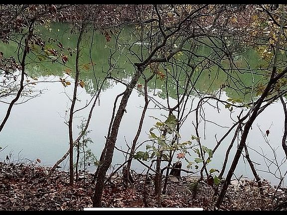 2nd image of 126 W Lou Ann Dr