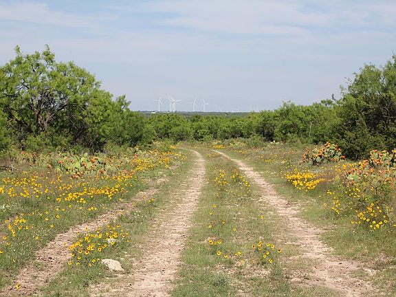 4th image of 14570 Fm 2402 Tract #1