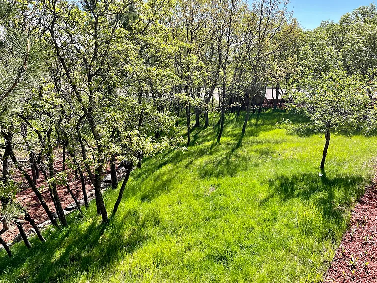 5904 Buttermere Dr — Photo 8