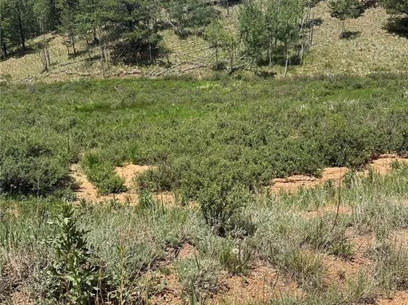 634 Valley Rd, Divide, CO 80814