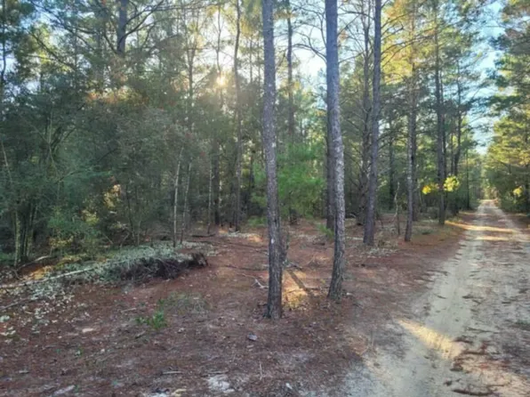LOT 20 W Black Cherry Dr, Defuniak Springs, FL 32433