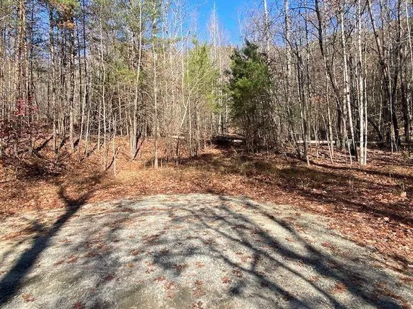 8 Cameron Point Lot 8, Cleveland, GA 30528