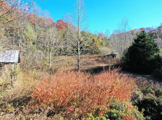 301 Cagle Cv, Sylva, NC 28779