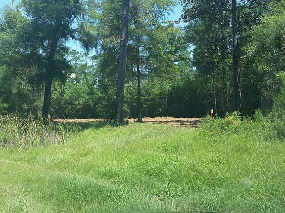 4th image of 842 Pine Bluff Trl