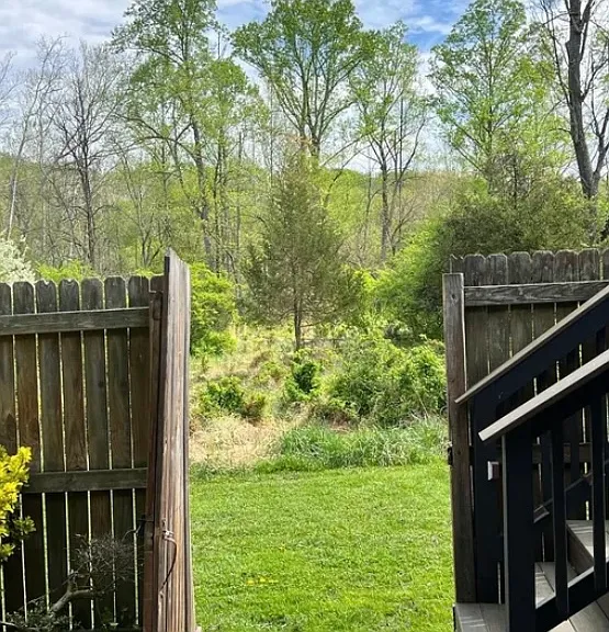 516 Meadow Hall Dr #516 — Photo 82