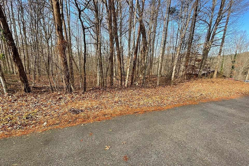 1st image of 53 Timber Line Dr