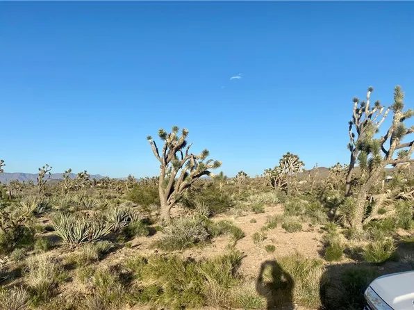 0 Paloma 20th, Dolan Springs, AZ 86441