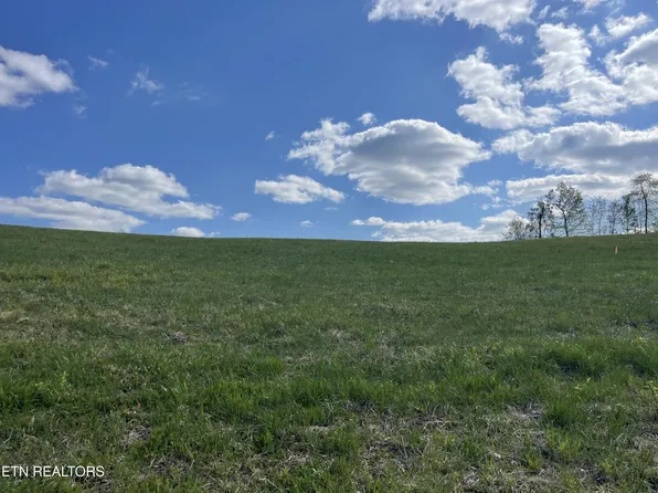 1 Laura Boling Loop Rd Lot 1, Strawberry Plains, TN 37871