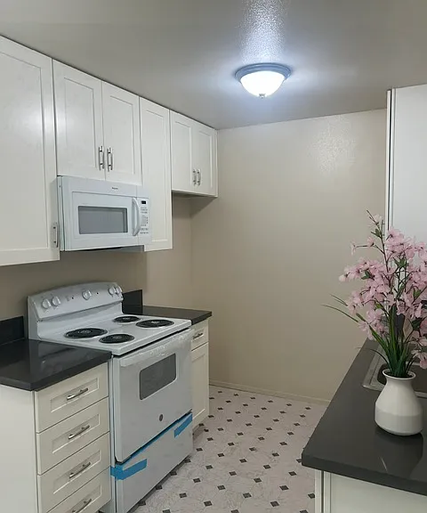 145 Camellia Way #8 — Photo 4