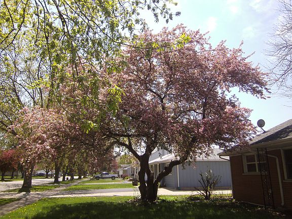 2nd image of 309 Fairlane Dr