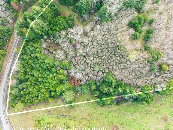 3rd image of Crystal Creek Rd #804