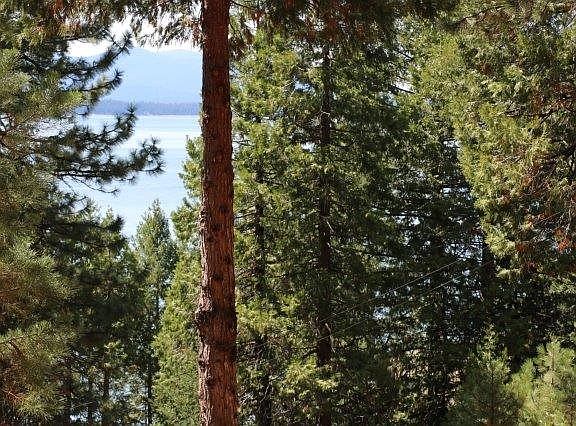 5th image of 3786 State Highway 147