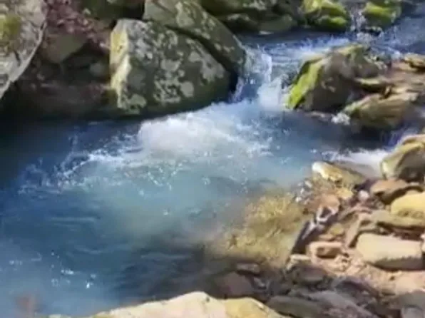 (undisclosed Address), Ozark, AR 72949