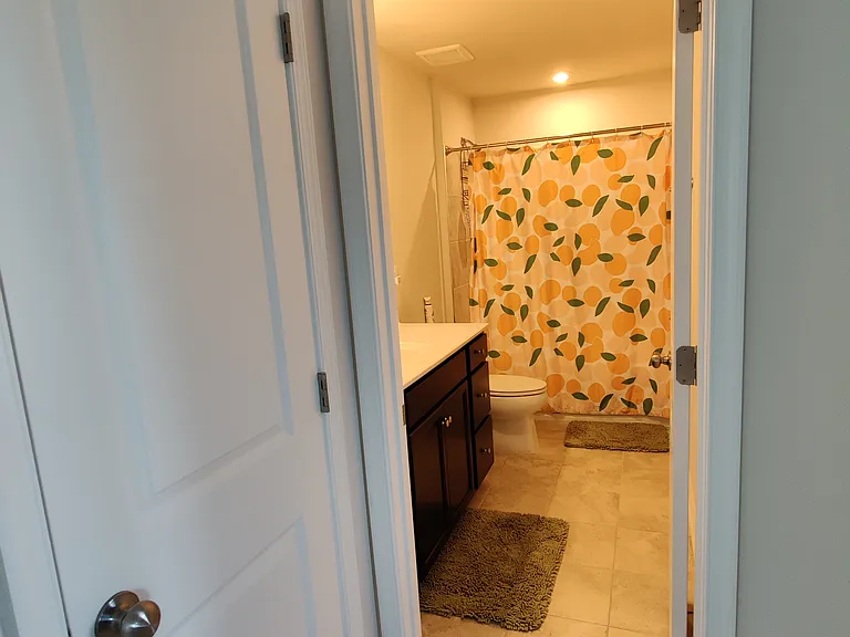 6522 Wild Orchid Ct — Photo 24