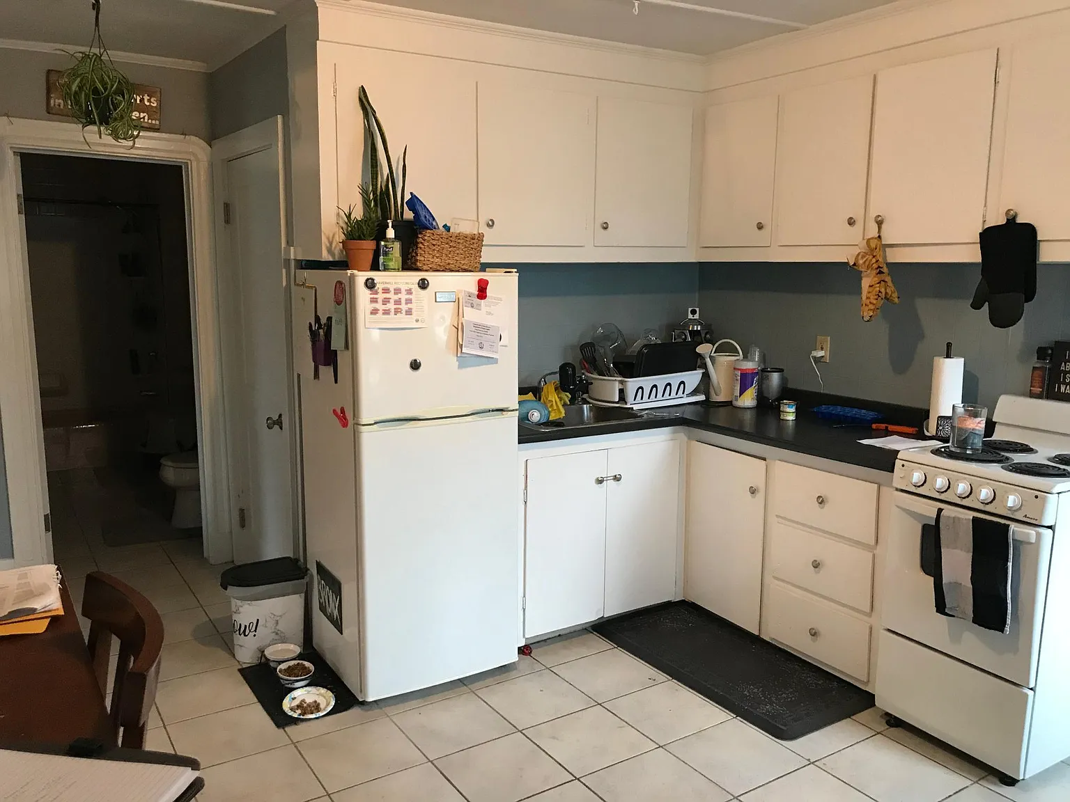 1 bed, 525 sqft, $1,685 — Photo 1