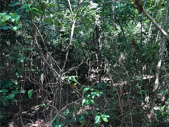 3rd image of Anthony Rd
