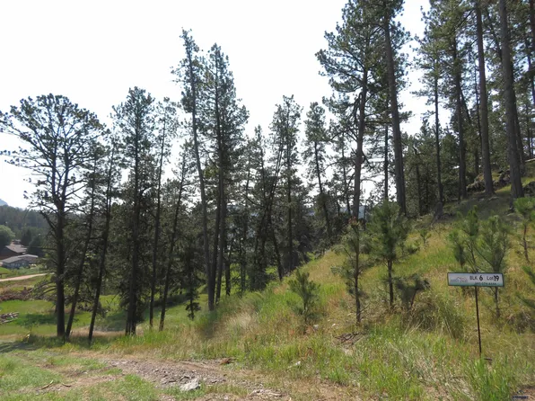 LOT 19 Other, Hill City, SD 57745