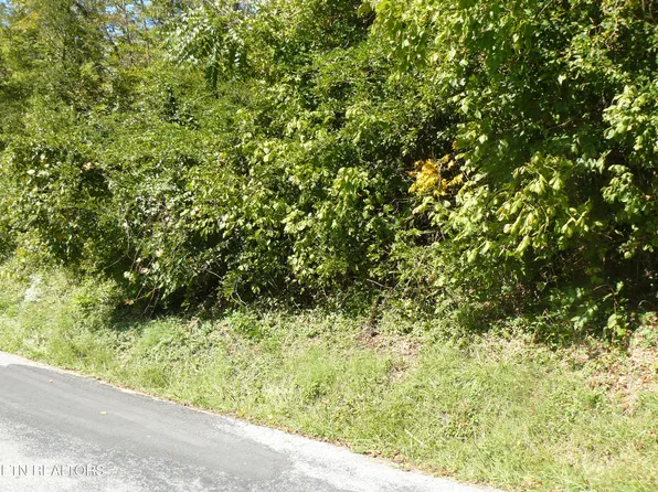Lower Caney Valley Rd, Tazewell, TN 37879