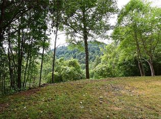 00 July Summer Ln, Waynesville, NC 28785