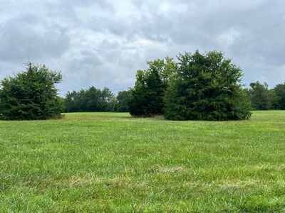 Tract 4 County Road 170, Carthage, MO, 64836