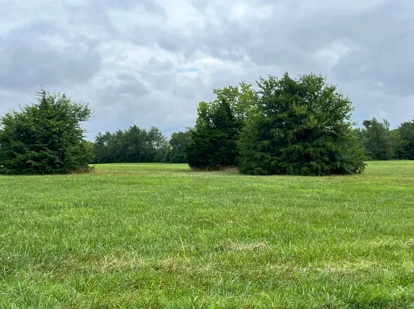 Tract 4 County Road 170, Carthage, MO 64836