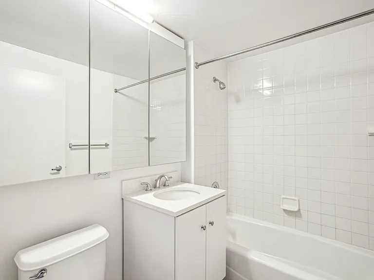 229 Chrystie St #1201-0 — Photo 7