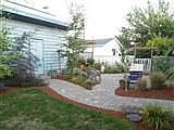 back yard 1