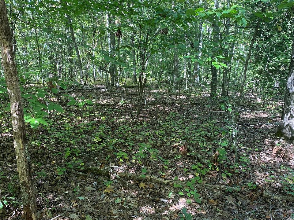 1st image of 1271 Spring City Hwy