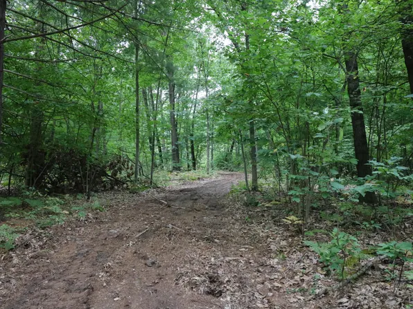 LOT Oriole St #A, Dorr, MI 49323