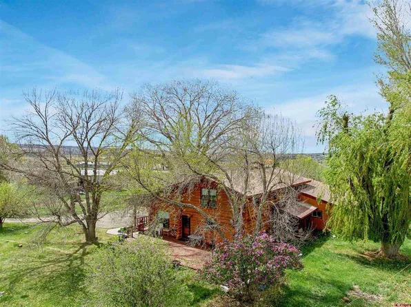 9709 3605 Road, Hotchkiss, CO 81415